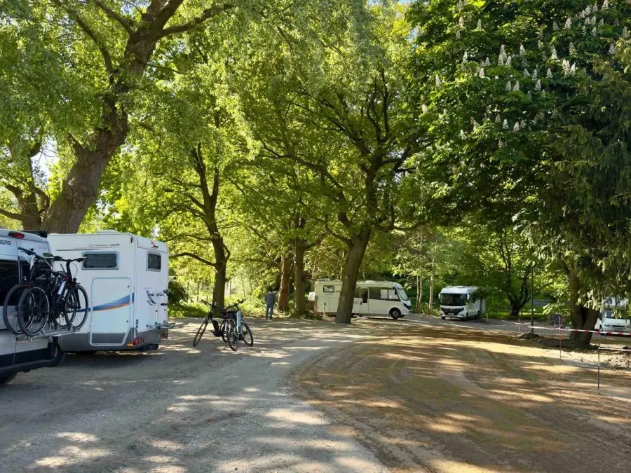 Camping-cars dans l'Auenwald sous de vieux arbres