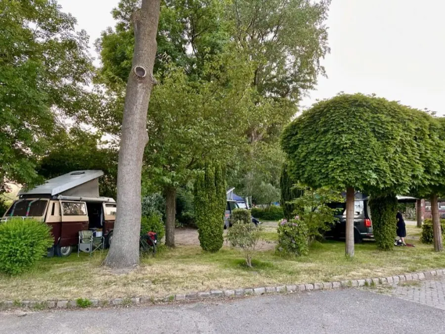 Emplacements ombragés sur herbe au Bullihafen